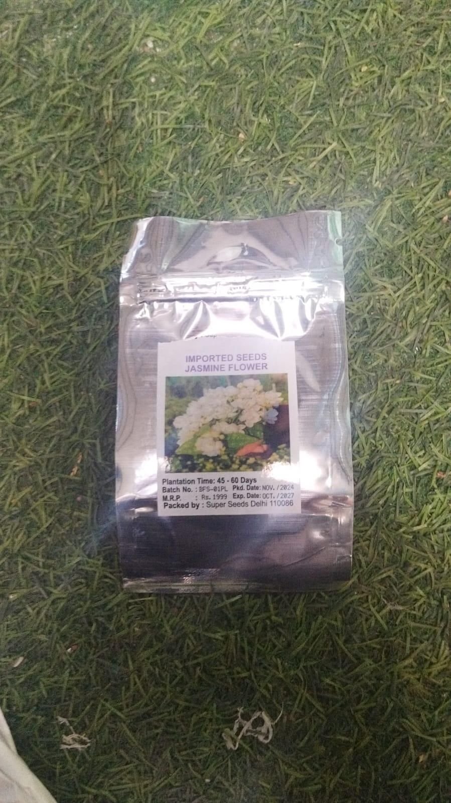 Double Jasmine Seeds - Gifts4All