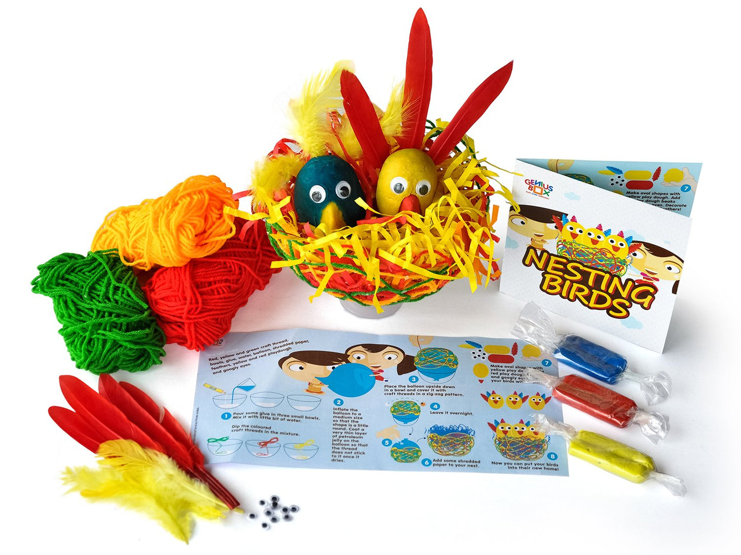 Genius Box Educational Toy for 3 Years and Up: Feathered Friends DIY, Activity Kit, Learning Kit, Educational Kit, STEM Toy - Gifts4All