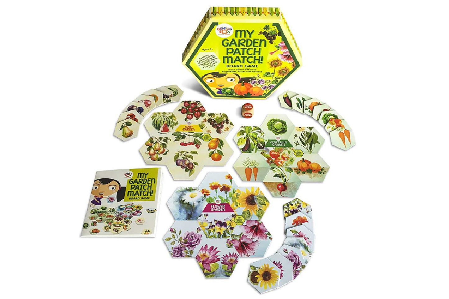 Genius Box Learning STEM Toy for 5+ Year Age: Garden Adventure DIY,Activity Kit, Learning Kit, Educational Kit 30 Activity Kit - Gifts4All