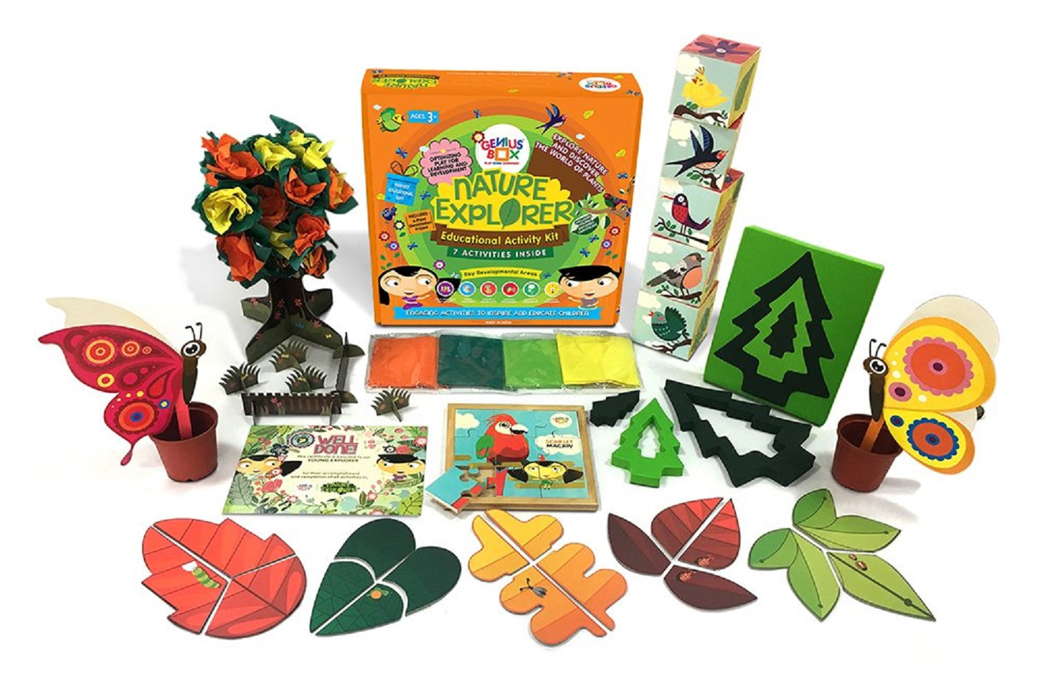 Genius Box - Play Some Learning Activity Kit For 3+ Year Age: Nature Explorer Diy, Educational Toy, Learning Kit, Educational Kit, Stem Toy